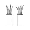 Double Aloe Plant - Image 2