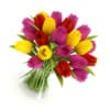 Three-color Tulips - Image 3