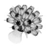 Three-color Tulips - Image 4