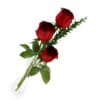 Roses in Flask - Image 3
