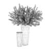 Plant in Black Pot - Image 2