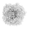 Hornbeam 3.5M - Image 4