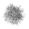 Hornbeam 3.5M (Winter) - Image 4