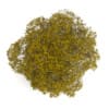 Chestnut 7M (Autumn) - Image 3