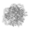 Chestnut 7M (Winter) - Image 4