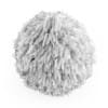 Eastern Arborvitae 2 - Image 4