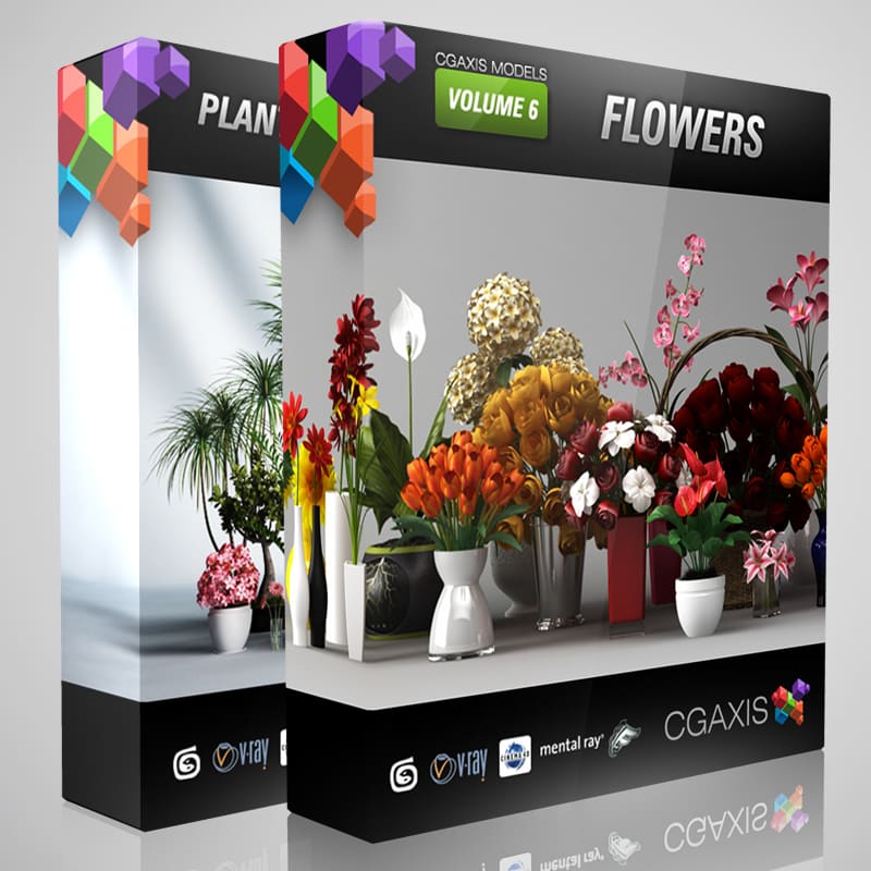 Bundle Flowers & Plants