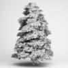 Tree of Heaven 02 - Image 2