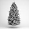 Norway Spruce 21 - Image 2