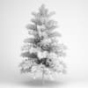 Scots Pine 24 - Image 2