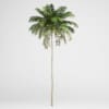 CGAxis Models Volume 15 Exotic Plants - Image 4