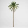CGAxis Models Volume 15 Exotic Plants - Image 6