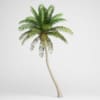 CGAxis Models Volume 15 Exotic Plants - Image 7