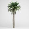 CGAxis Models Volume 15 Exotic Plants - Image 8
