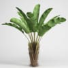 CGAxis Models Volume 15 Exotic Plants - Image 11