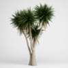 CGAxis Models Volume 15 Exotic Plants - Image 12