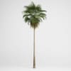 CGAxis Models Volume 15 Exotic Plants - Image 13