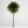 CGAxis Models Volume 15 Exotic Plants - Image 14
