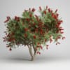 CGAxis Models Volume 15 Exotic Plants - Image 15