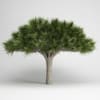 CGAxis Models Volume 15 Exotic Plants - Image 16