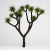 CGAxis Models Volume 15 Exotic Plants - Image 18