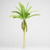 CGAxis Models Volume 15 Exotic Plants - Image 19