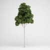 CGAxis Models Volume 15 Exotic Plants - Image 20