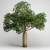 CGAxis Models Volume 15 Exotic Plants - Image 21