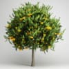 CGAxis Models Volume 15 Exotic Plants - Image 3