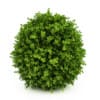 CGAxis Models Volume 19 Garden Plants - Image 3