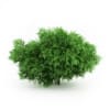 CGAxis Models Volume 19 Garden Plants - Image 12