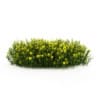 CGAxis Models Volume 19 Garden Plants - Image 13