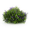 CGAxis Models Volume 19 Garden Plants - Image 15