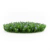 CGAxis Models Volume 19 Garden Plants - Image 17