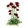CGAxis Models Volume 19 Garden Plants - Image 22