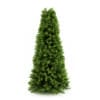 CGAxis Models Volume 19 Garden Plants - Image 31