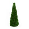 CGAxis Models Volume 19 Garden Plants - Image 32