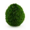 CGAxis Models Volume 19 Garden Plants - Image 33