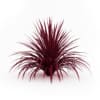 CGAxis Models Volume 19 Garden Plants - Image 2