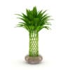 CGAxis Models Volume 21 Plants II - Image 8
