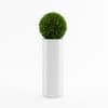 CGAxis Models Volume 21 Plants II - Image 7