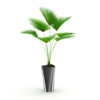 CGAxis Models Volume 21 Plants II - Image 6