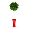 CGAxis Models Volume 21 Plants II - Image 5