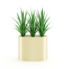 CGAxis Models Volume 21 Plants II - Image 4