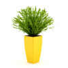 CGAxis Models Volume 21 Plants II - Image 3