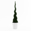 CGAxis Models Volume 21 Plants II - Image 25
