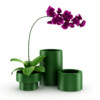 CGAxis Models Volume 21 Plants II - Image 22