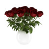 CGAxis Models Volume 21 Plants II - Image 21