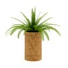 CGAxis Models Volume 21 Plants II - Image 19