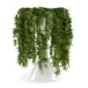 CGAxis Models Volume 21 Plants II - Image 17